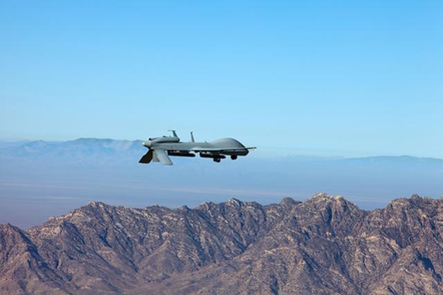 Gray Eagle