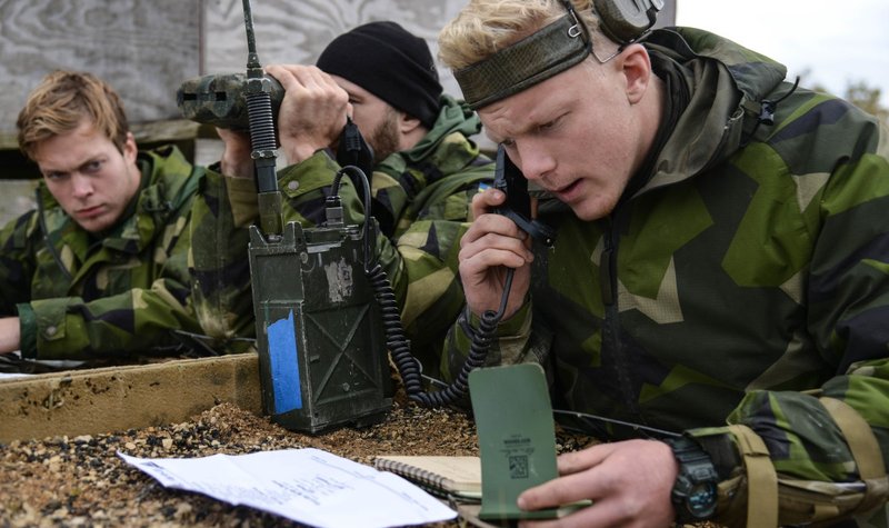 Sweden looks to Roke for land EW systems