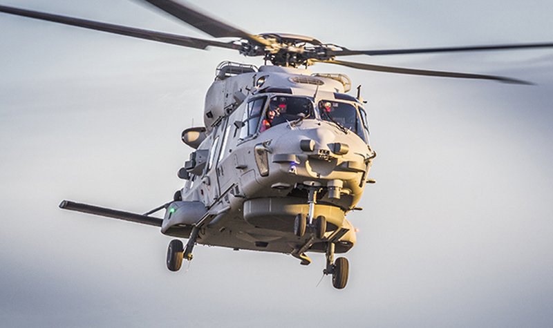 Sea Lion takes to the air
