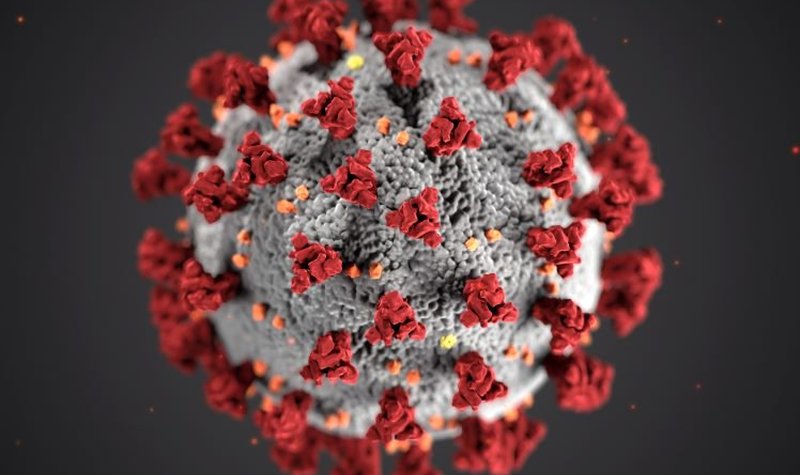 Israeli MoD begins stockpiling medical supplies as COVID-19 takes grip