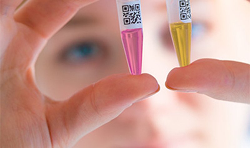 France develops COVID-19 diagnostic tool