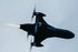 May land forces roundup: counter-drone systems move up the agenda