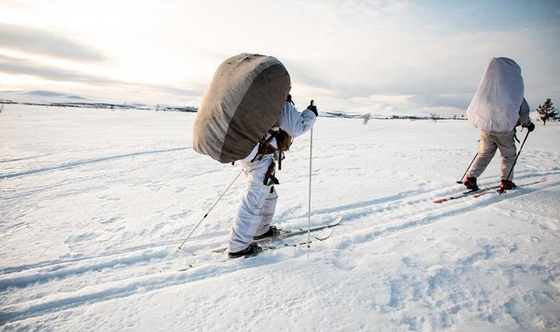 COVID-19 causes curtailment of Cold Response 2020