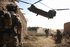 The Combat Veteran - 40 Years of the Chinook in the UK