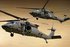 Lithuania requests six Black Hawks