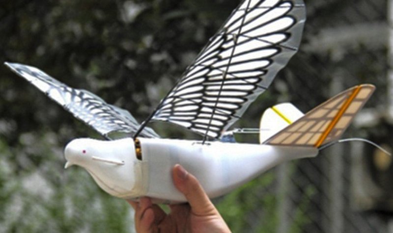 Chinese UAS attempt to rule the roost