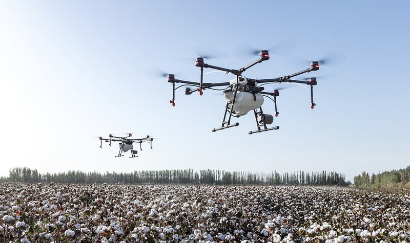 Who will lead on tackling drone misuse?