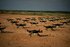 US military seeks common controllers for drones and robotic systems