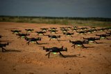 US military seeks common controllers for drones and robotic systems