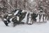 Snow patrol and access all areas: the Arctic all-terrain vehicles market grows