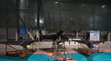 Ukraine fields 5,000 homegrown drones amid Iran's debut of advanced Shahed-238 UAV