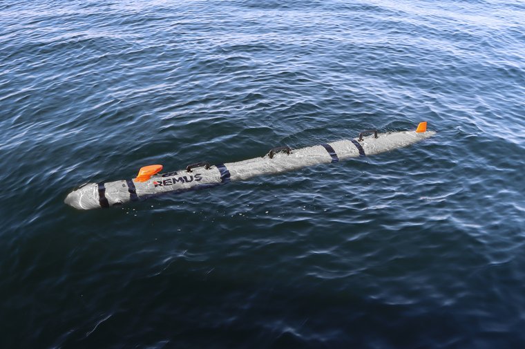 HII awarded contract to build UUVs for US Navy Lionfish programme - Vimarsana News