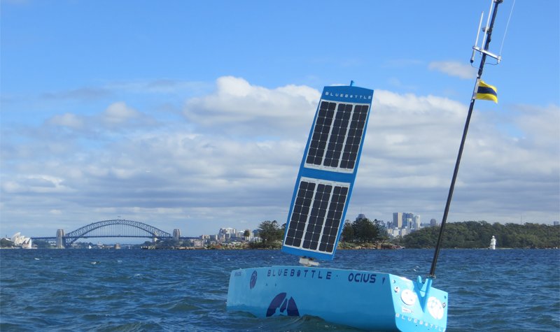 Australian award puts wind in Bluebottle’s sail