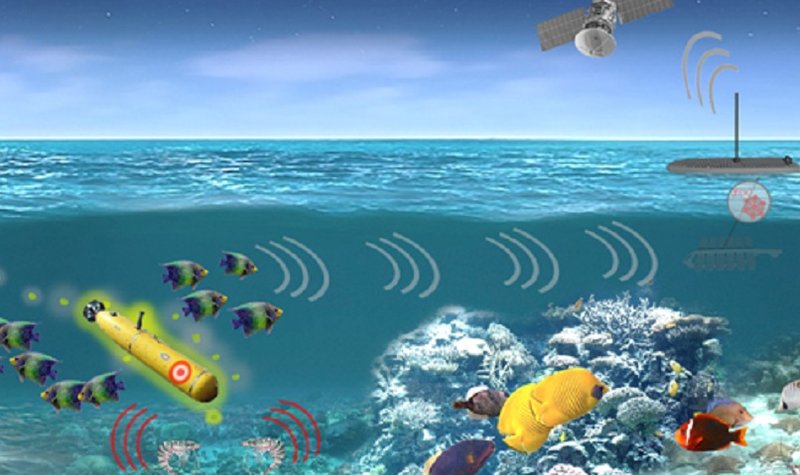 DARPA researching marine creature responses for subsurface surveillance