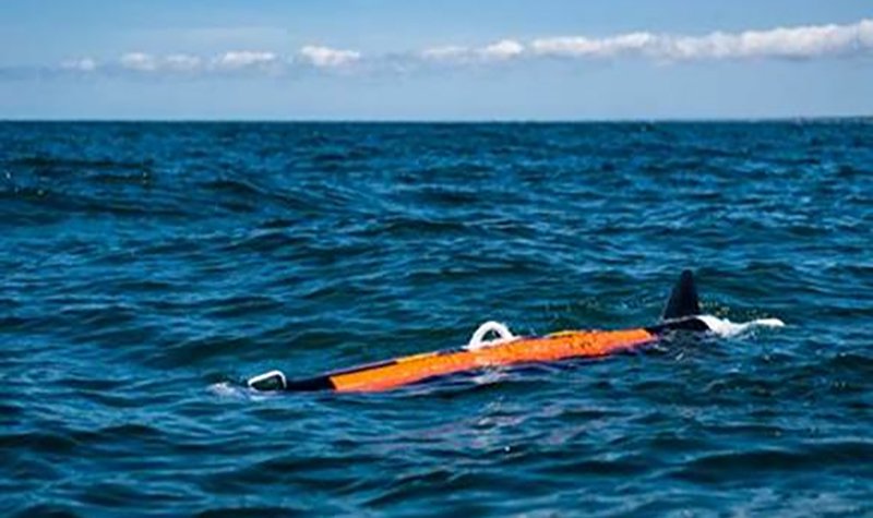 BAE Systems expands its UUV family