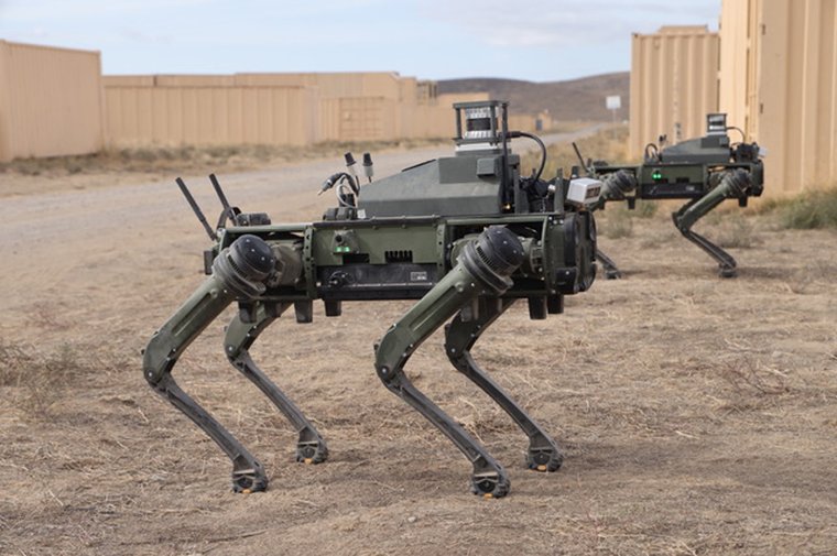 Robotic military dog top