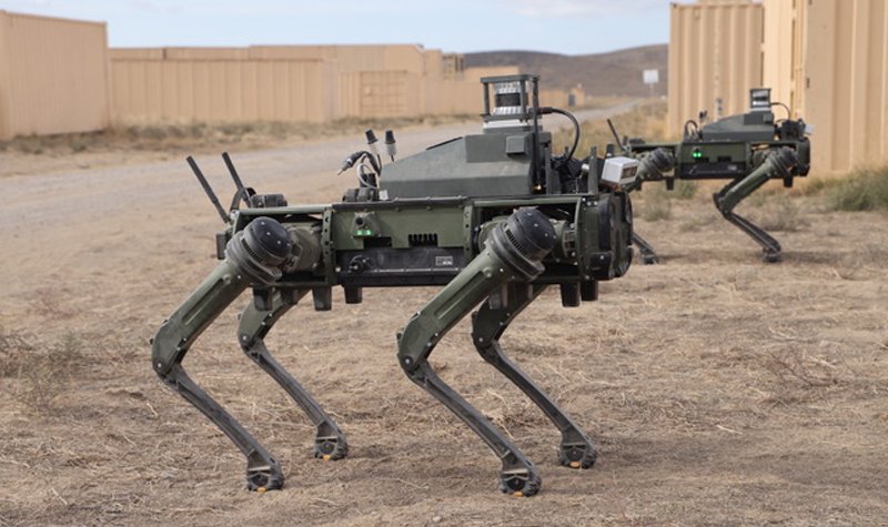 Singapore Army experiments with robot dog teaming at Exercise Forging Sabre