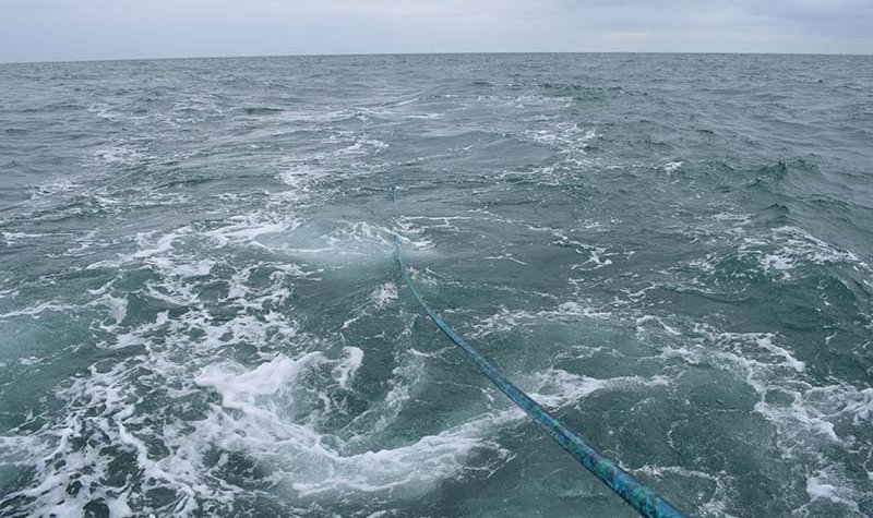 Improved KraitAway passes trials