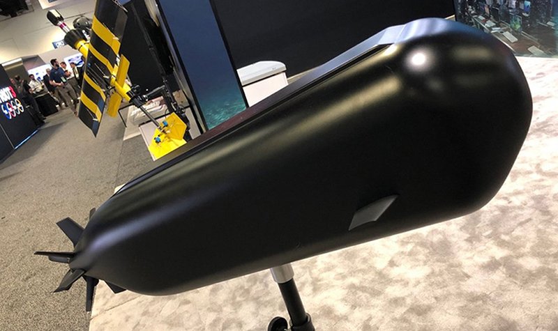 Mystery FMS customer to receive Shallow Water Combat Submersibles