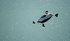 Pivotal showcases BlackFly eVTOL at SOF Week with eyes on military adoption (video)