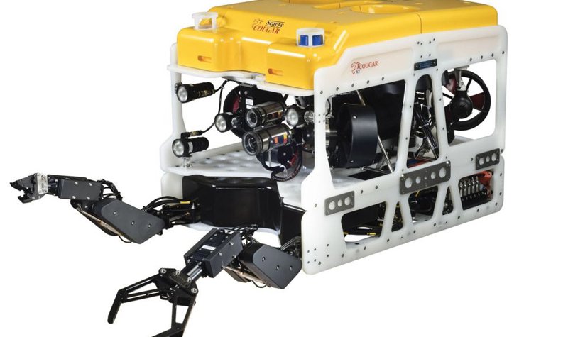 ADECS 2019: Cougar XT ROV for RNZN vessel