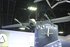 Edge Autonomy showcases advanced UAVs for SOF (video)