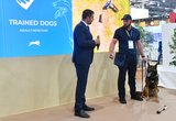 Explosive detector dogs sniff out demo explosives at Eurosatory
