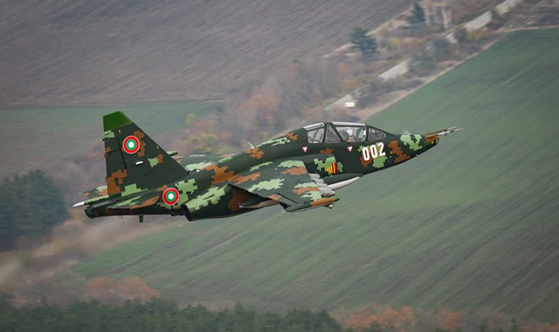 Bulgarian Frogfoots gain new lease of life