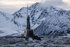 UK MoD faces ‘serious’ ASW gap as Defence Committee outlines Arctic requirements