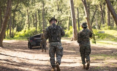 Defence Insight Briefs: The analyst view of the UGV market (video)