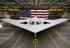 US forces’ heads lay out their needs and requirements before Senate committees