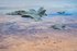 Iran war exposes the limits of US military mass