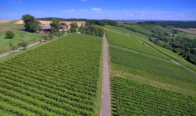 Commercial UAV Expo 2017: Wine industry mulls drone use