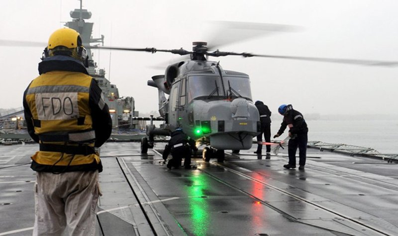 DSEI 2015: Taming the Wildcat (video)