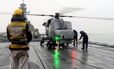 DSEI 2015: Taming the Wildcat (video)