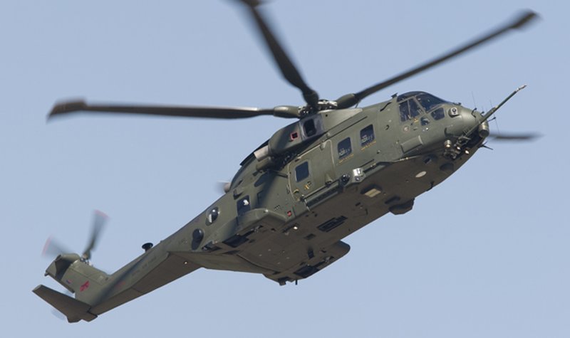 Merlin celebrates ten years in service 