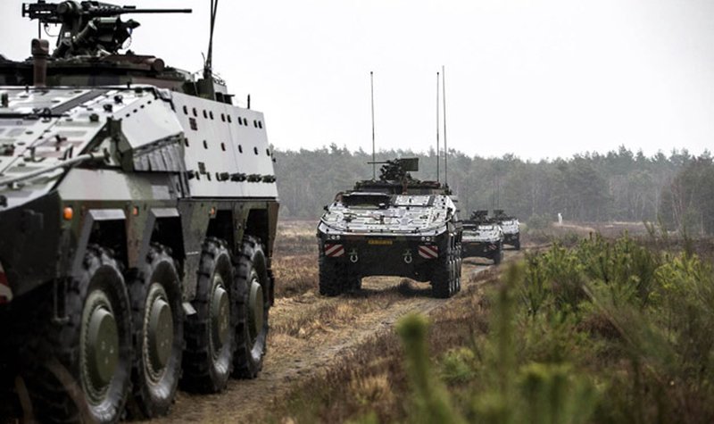 Dutch Boxer throws first punch