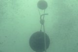 UDT 2016: Military research created commercial SonarBell