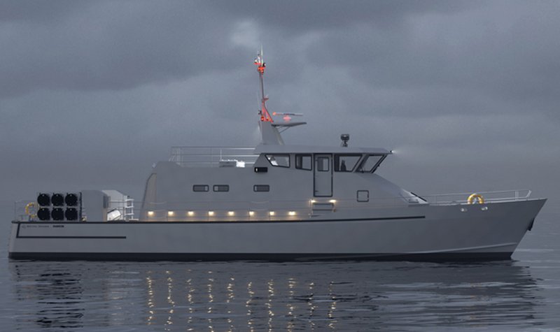 Damen, Metal Shark partner for NCPVs