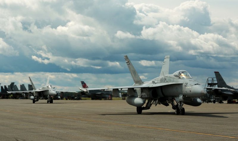Hornets brought back to life
