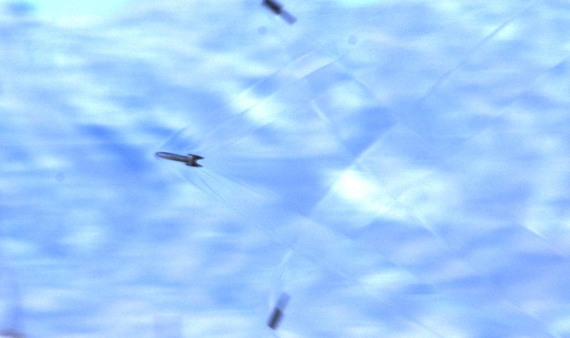 Blitzer railgun tests continue 