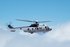 Japan extends Airbus H225 support