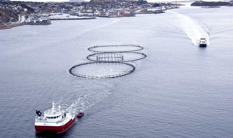 Seaeye Falcon to support Norwegian aquaculture ops