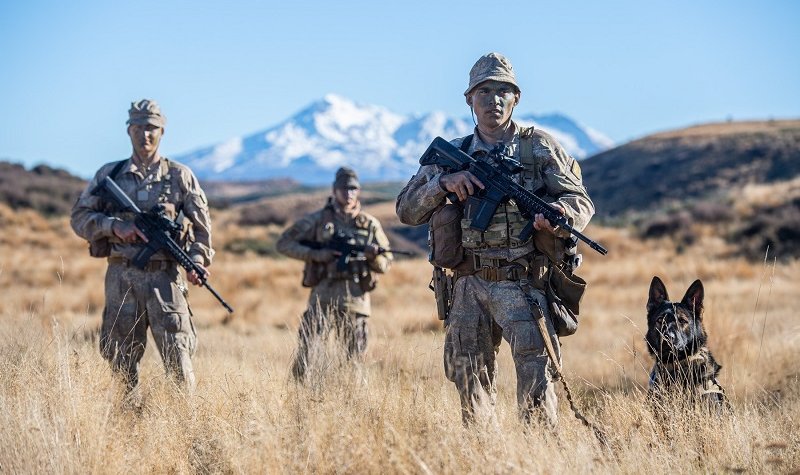 New Zealand Defence Force gets major budget boost