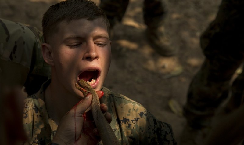 Marines drink cobra blood in US-Thai war drills