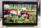ISDEF 2017: ZombieCam set to detect intruders
